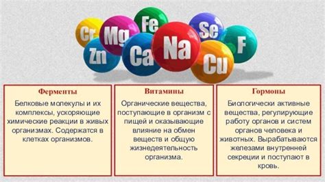 Внутренние факторы, отражающиеся на жизненно важных показателях организма