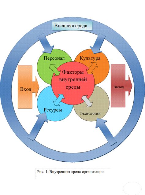 Внутренняя организация и функции