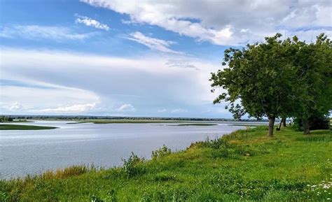 Вода в реке Волга меняет цвет: причины и последствия