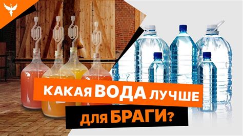 Вода для браги: секреты использования для достижения идеального напитка