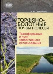 Вода и болота: взаимосвязь и проблемы