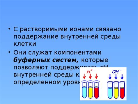 Вода и поддержание внутренней среды клетки