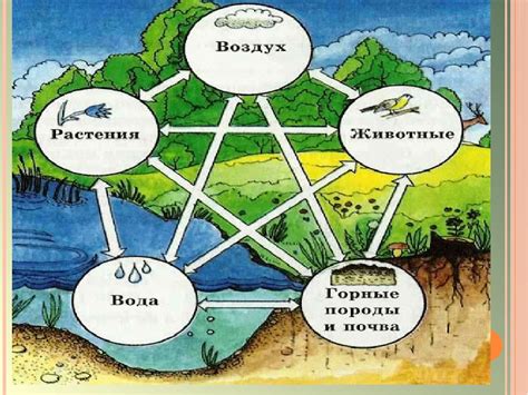 Вода и ум - взаимосвязь