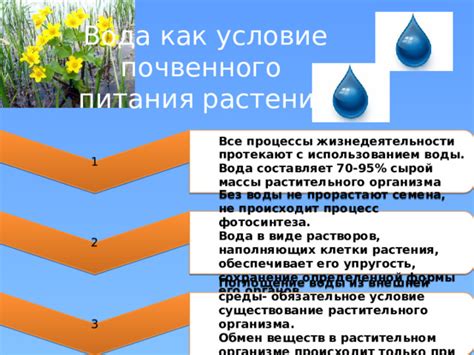 Вода не обеспечивает достаточное питание