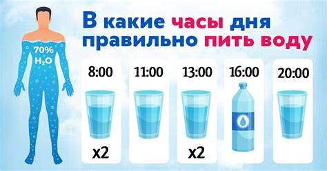 Вода перед прививкой: режим питья для сохранения здоровья и комфорта питомца