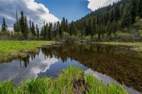 Водный баланс и качество воды