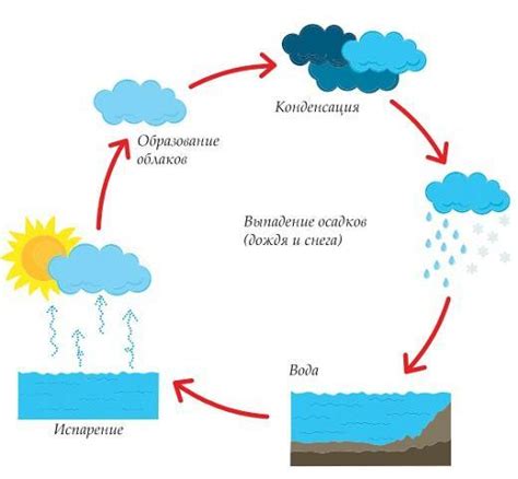 Водный цикл: ключевой фактор