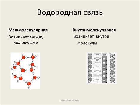 Водородная связь и ее роль в химических реакциях