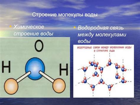 Водородные связи и структура молекулы воды