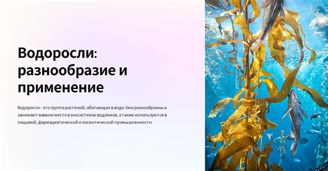 Водоросли обладают хлорофиллом