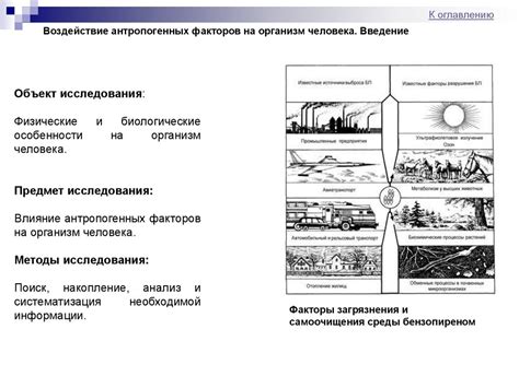 Воздействие антропогенных факторов