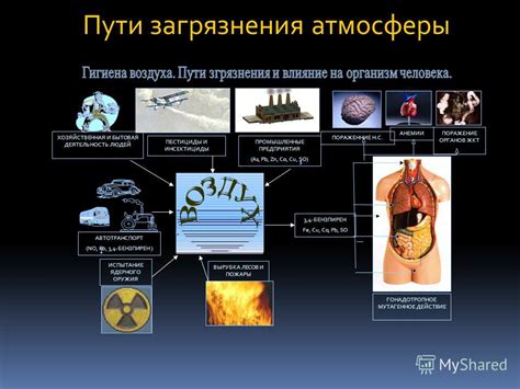 Воздействие внешней среды и окружающей атмосферы