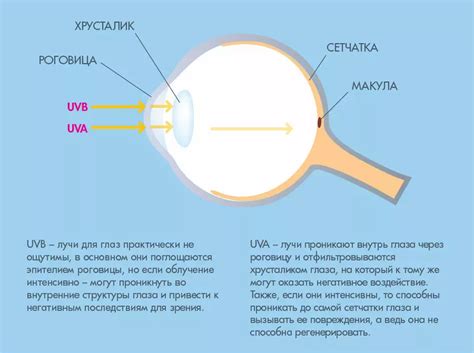 Воздействие внешних факторов на глаза