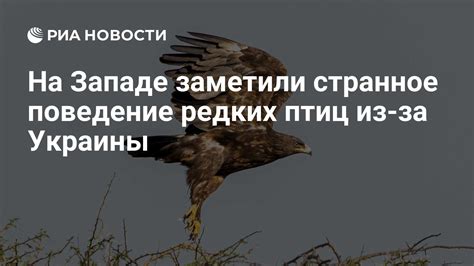 Воздействие городского окружения на поведение птиц