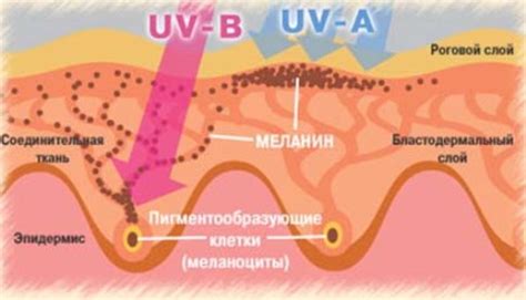 Воздействие масла в солярии на кожу: что это может вызвать?