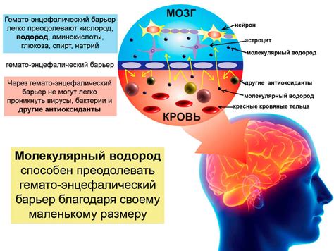 Воздействие на нервную систему