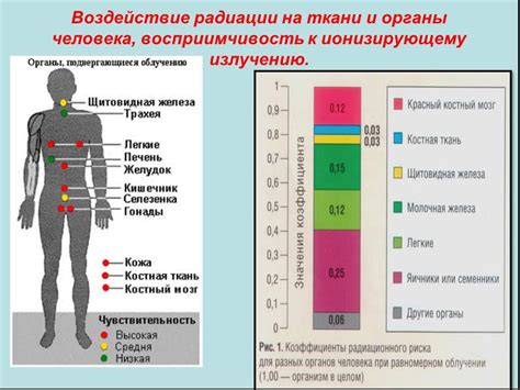 Воздействие на органы