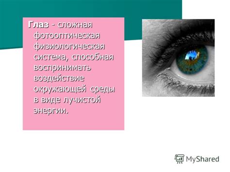 Воздействие окружающей среды на разрез глаз