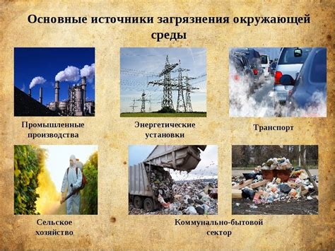 Воздействие окружающей среды на формирование преимущественной руки