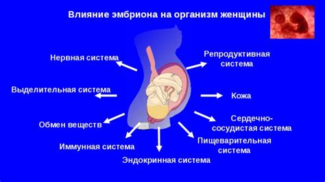 Воздействие спирали Юнона на организм женщины