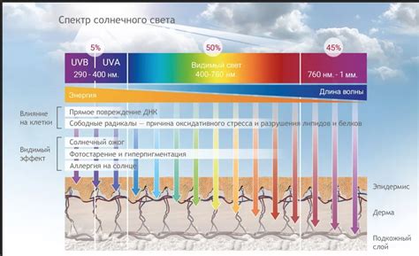 Воздействие ультрафиолетовых лучей на кожу