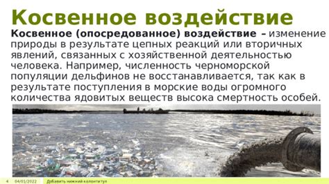 Воздействие хозяйственной деятельности на животных: исчезновение и нарушение экосистемы