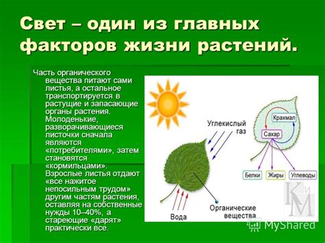 Воздействие холода и света