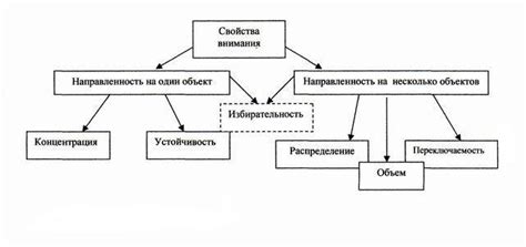 Возможности ассистента внимания