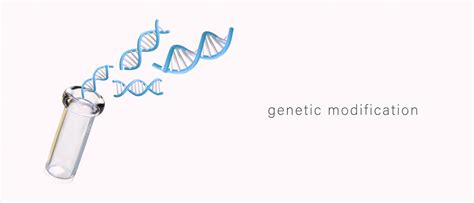 Возможности генетической модификации