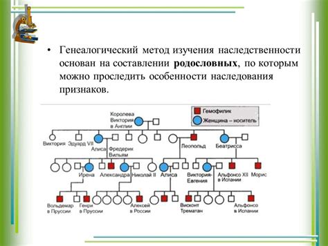 Возможности для изучения генеалогии