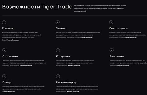 Возможности и преимущества Tiger Trade