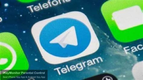 Возможности Telegram для сохранения истории чата