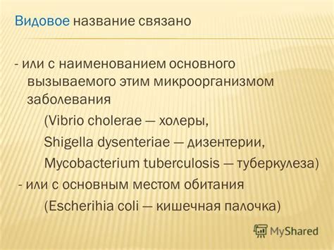 Возможность заболевания змеинолюбовидным микроорганизмом