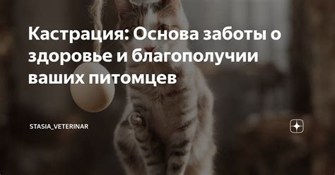 Возможность заботиться о здоровье и благополучии питомцев