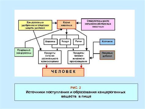 Возможность образования канцерогенных веществ