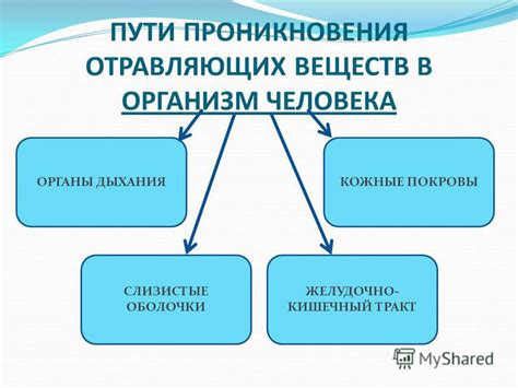 Возможность попадания вредных веществ