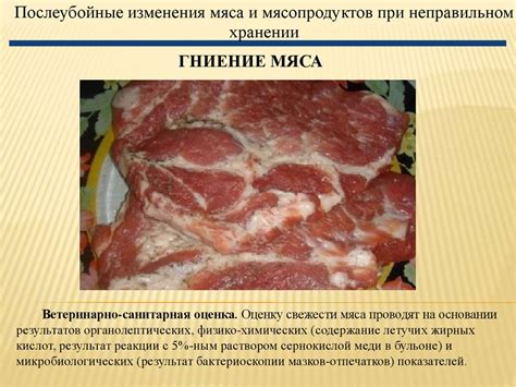 Возможность порчи мяса