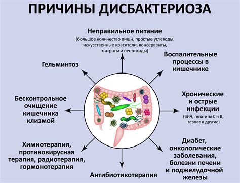 Возможность развития запоров и дисбактериоза учеников