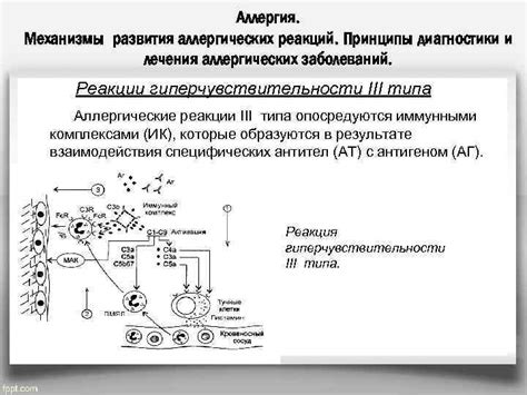 Возможность развития колик и аллергических реакций