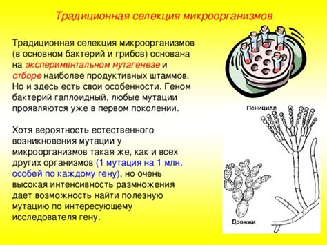 Возможность размножения вредных микроорганизмов