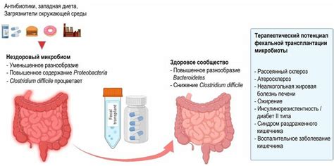 Возможные благоприятные эффекты