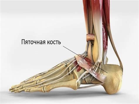 Возможные заболевания, влияющие на лицевой и телесный вес