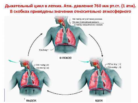 Возможные нарушения процесса дыхания