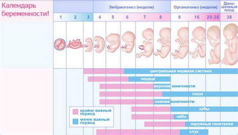 Возможные осложнения икания плода на 37 неделе