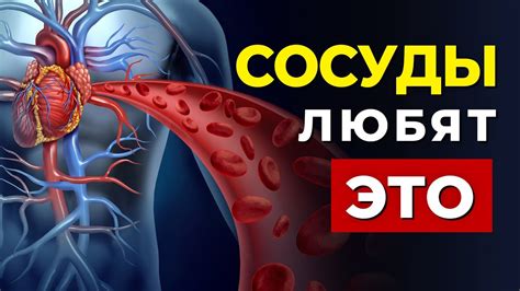 Возможные последствия для сердечно-сосудистой системы