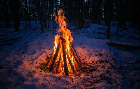 Возможные последствия разводки костра под деревом