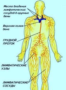 Возможные причины воспаления