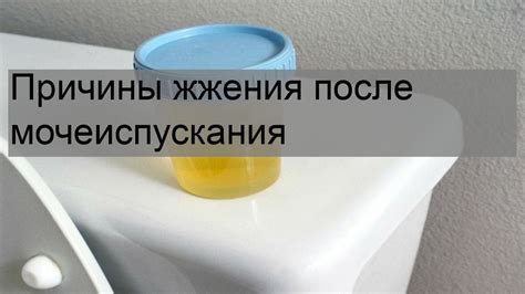 Возможные причины жжения после мочеиспускания у женщин