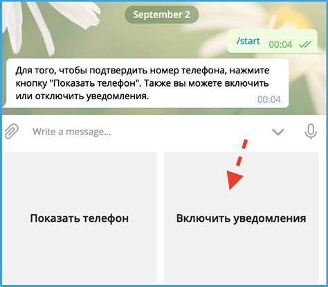 Возможные причины неполучения оповещений в Telegram