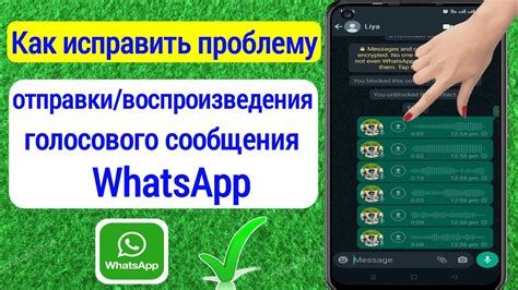 Возможные причины проблемы с отправкой голосовых сообщений в WhatsApp на iPhone